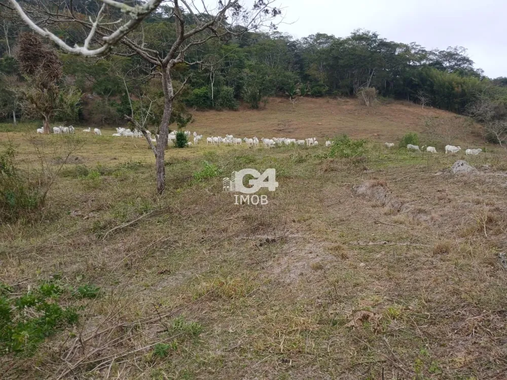 Fazenda, 1 quarto - Foto 14