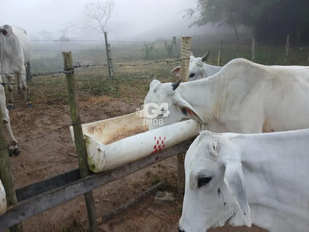 Fazenda, 1 quarto - Foto 3