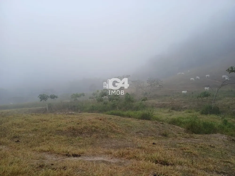 Fazenda, 1 quarto - Foto 15
