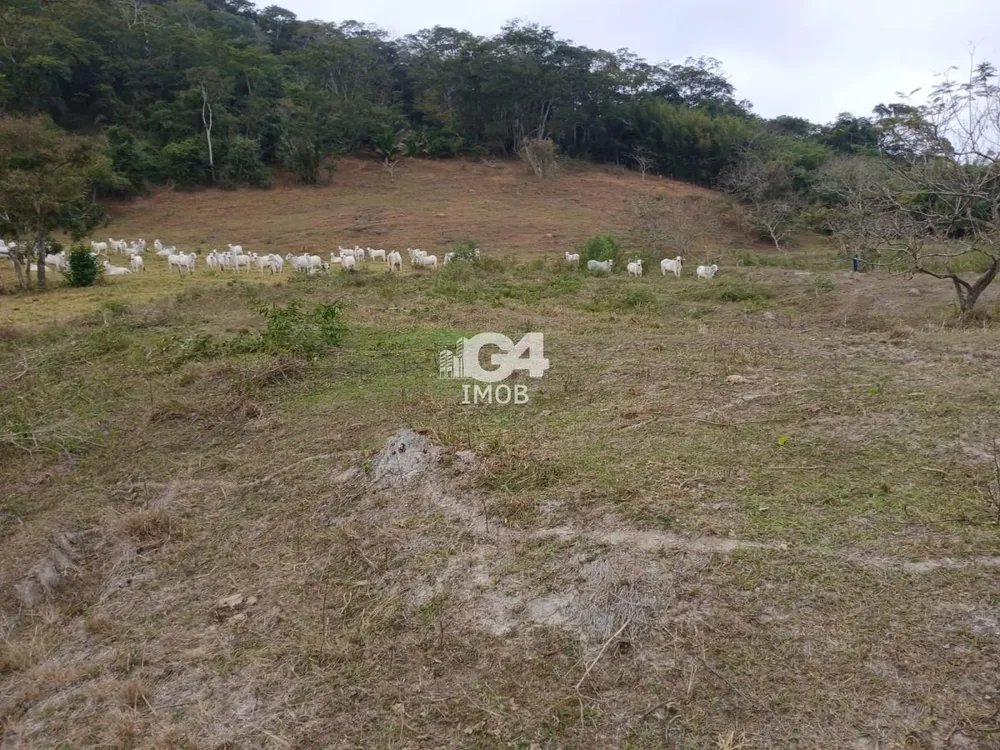 Fazenda, 1 quarto - Foto 16