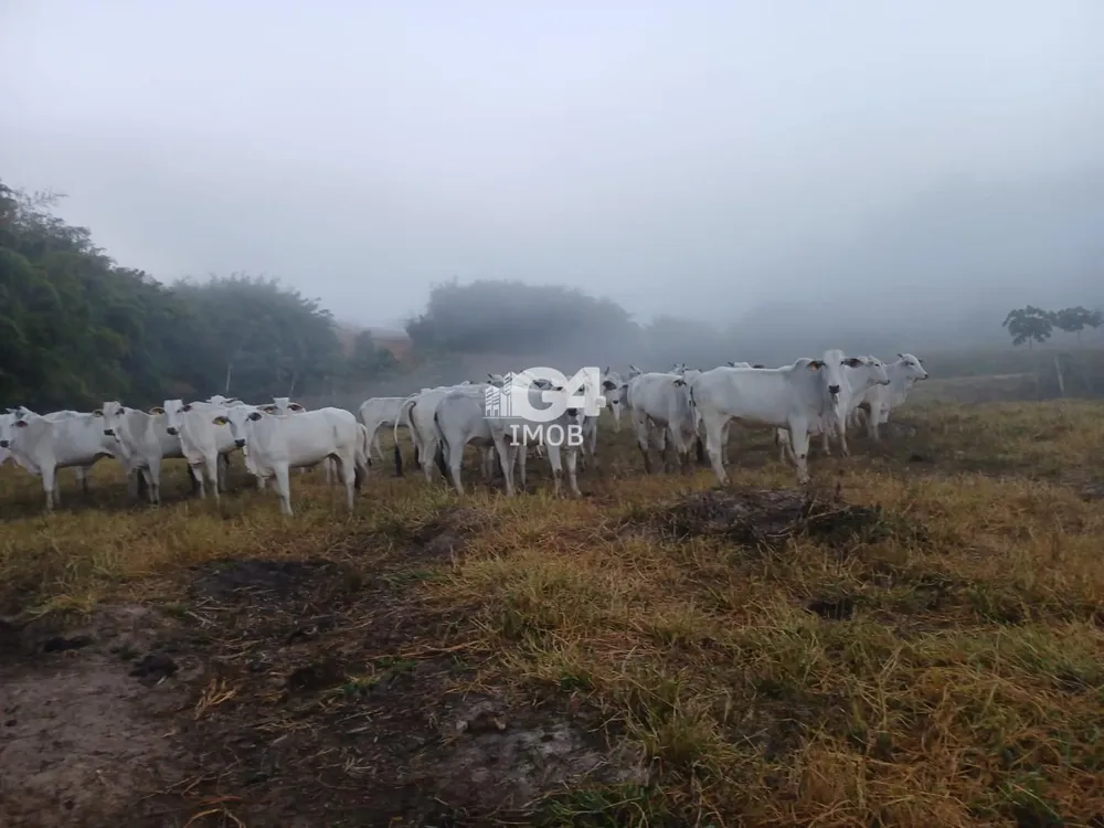 Fazenda, 1 quarto - Foto 1