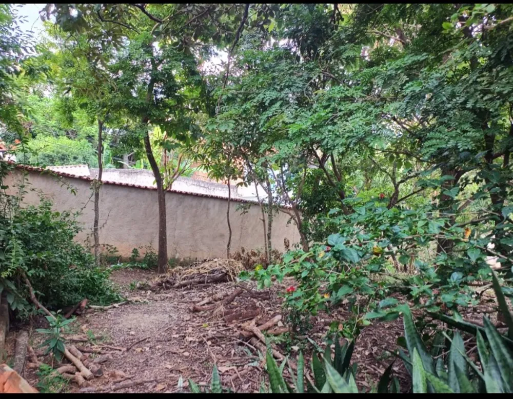Terreno, 2000 m² - Foto 12