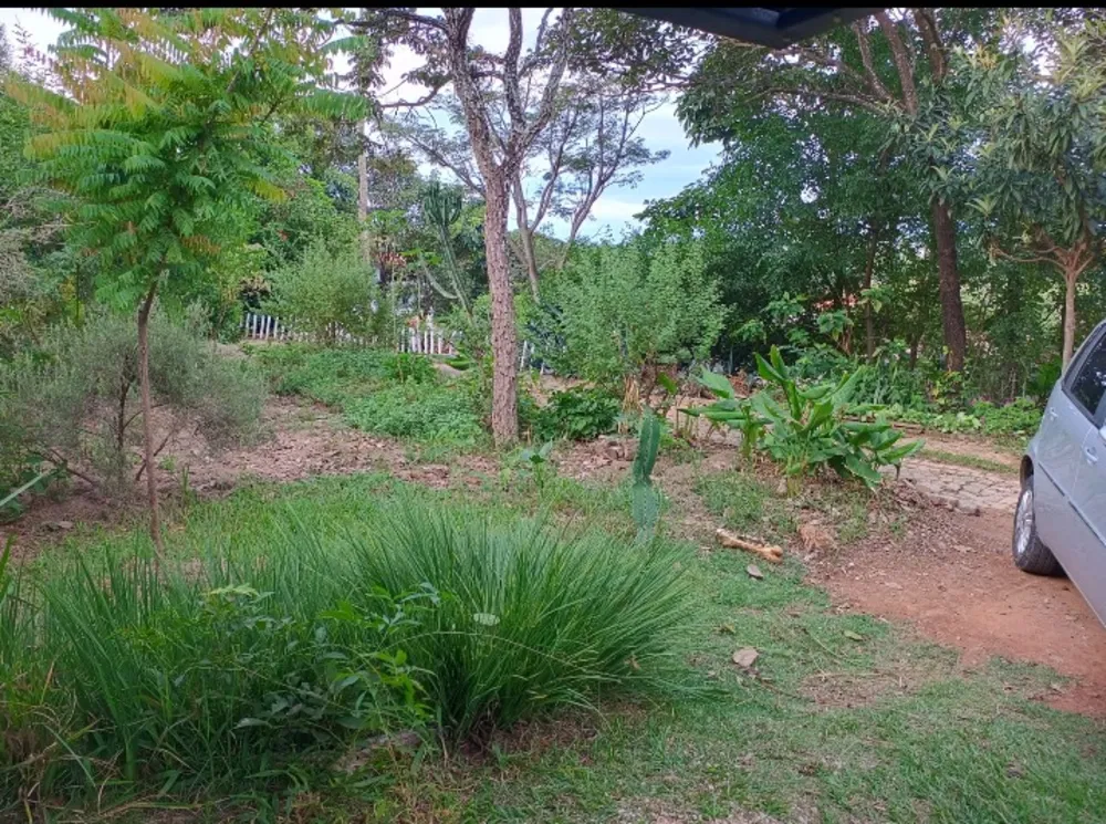 Terreno, 2000 m² - Foto 3