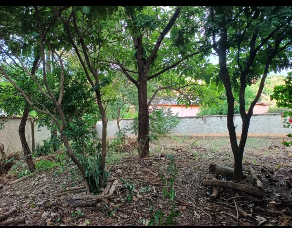 Terreno, 2000 m² - Foto 10