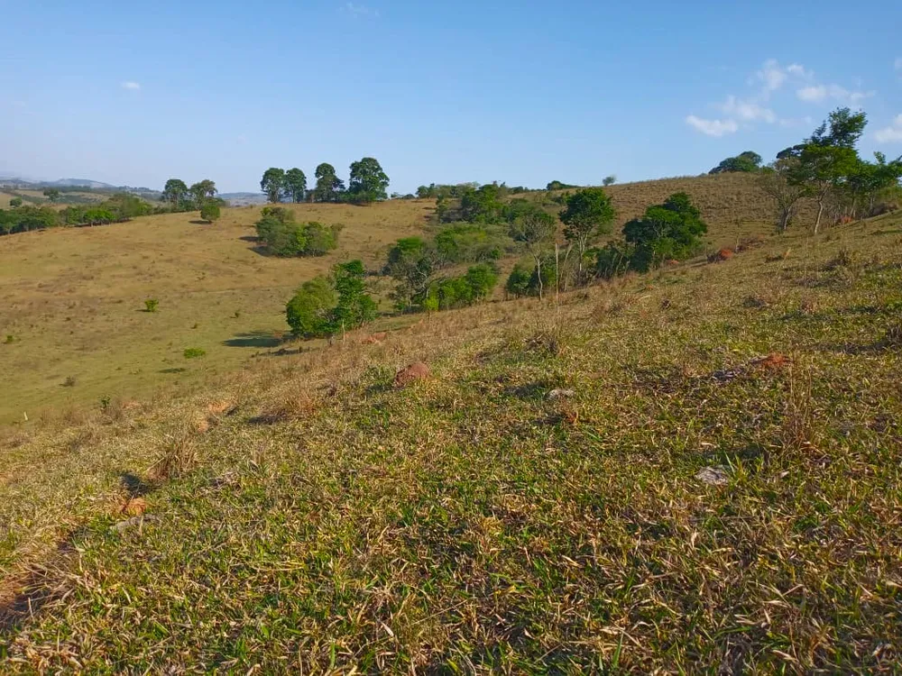 Fazenda, 89 hectares - Foto 2