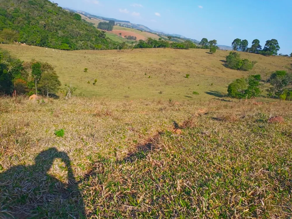 Fazenda, 89 hectares - Foto 4