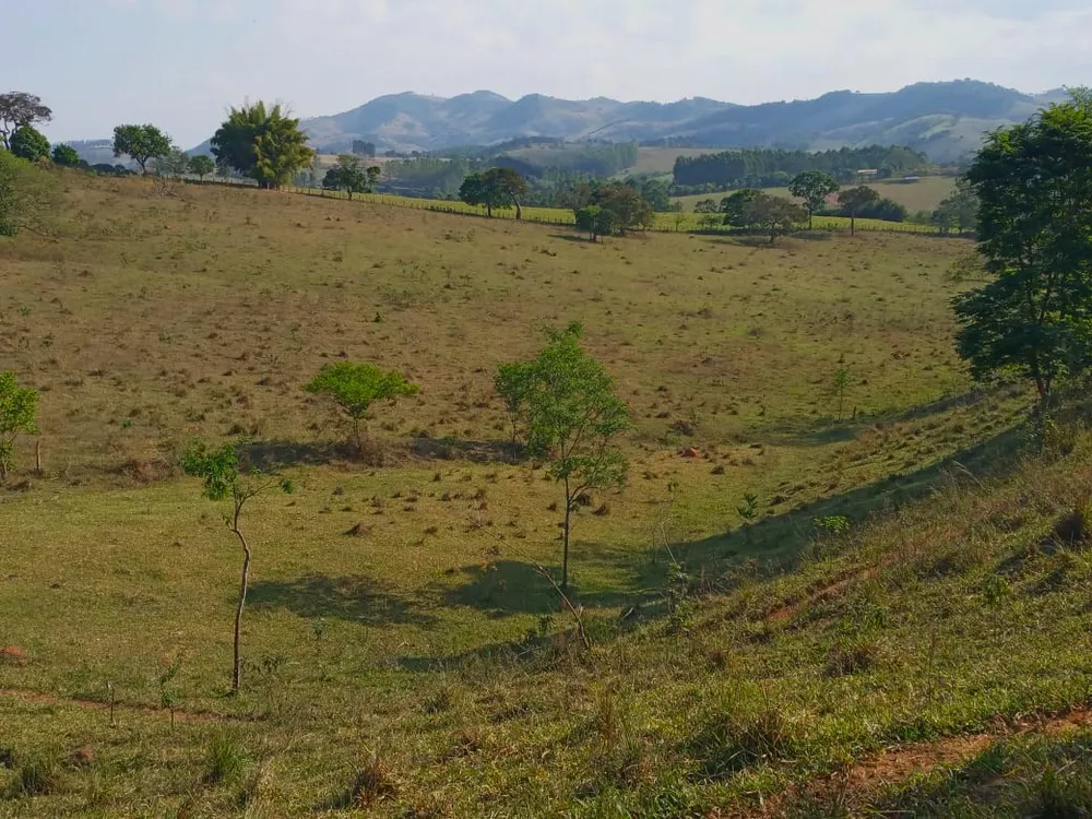 Fazenda, 89 hectares - Foto 1