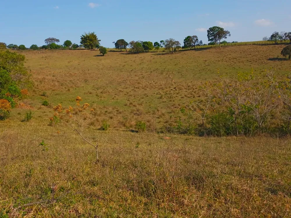 Fazenda, 89 hectares - Foto 3