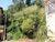 Terreno, 330 m² - Foto 4