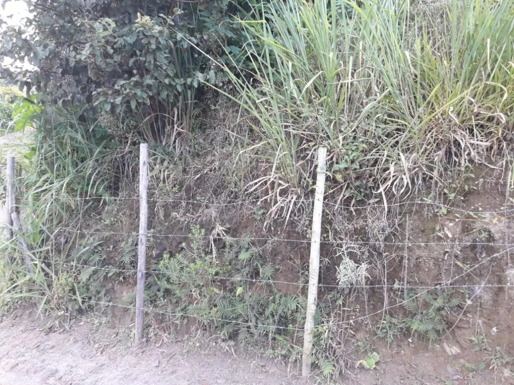 Terreno, 150 m² - Foto 3