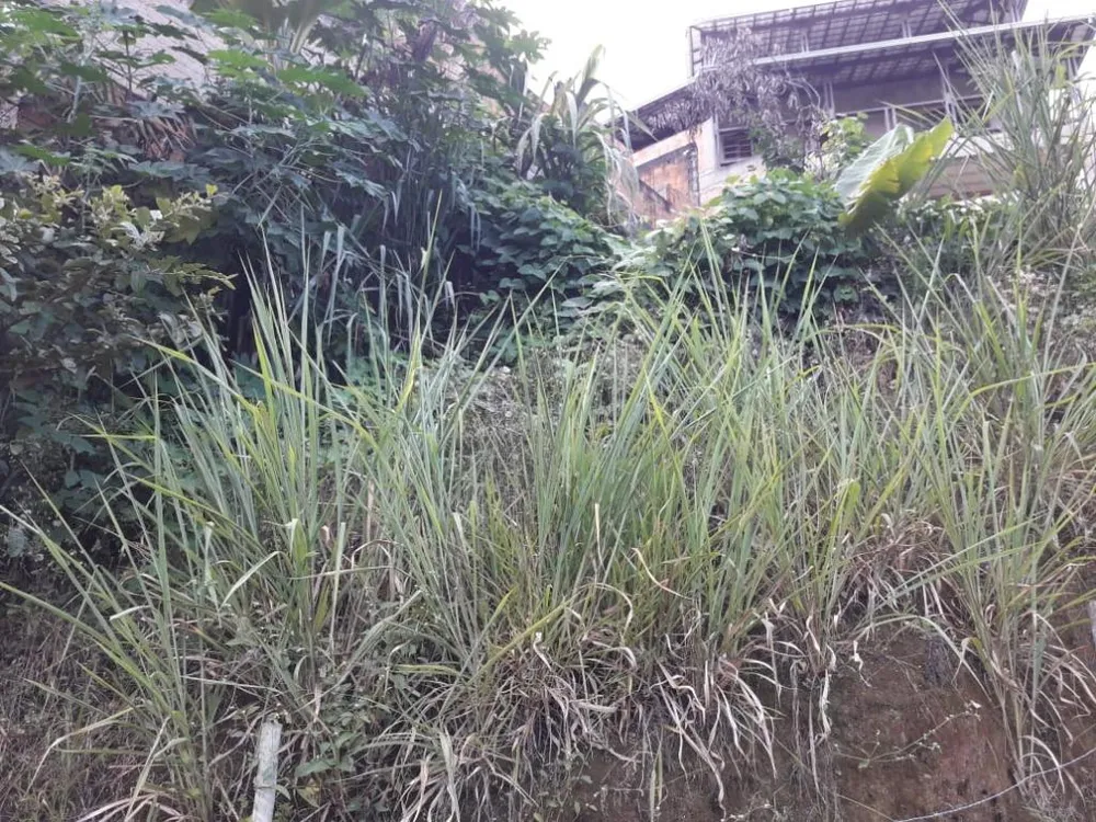 Terreno, 150 m² - Foto 1