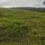 Fazenda, 1 quarto - Foto 3