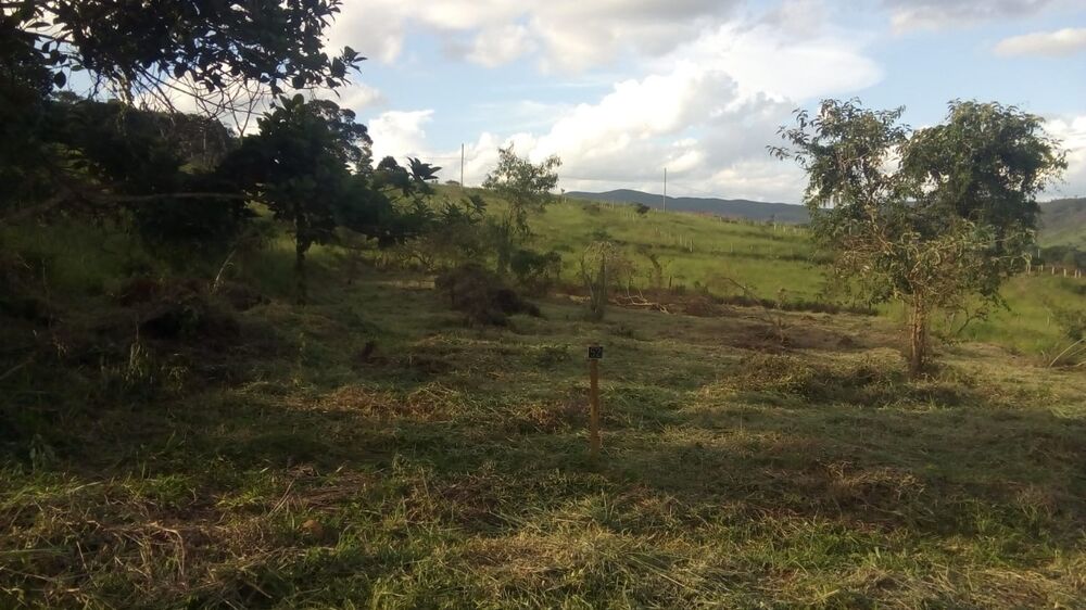 Chácara à venda com 1 quarto, 1000m² - Foto 2