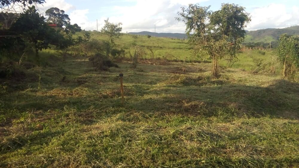 Chácara à venda com 1 quarto, 1000m² - Foto 4