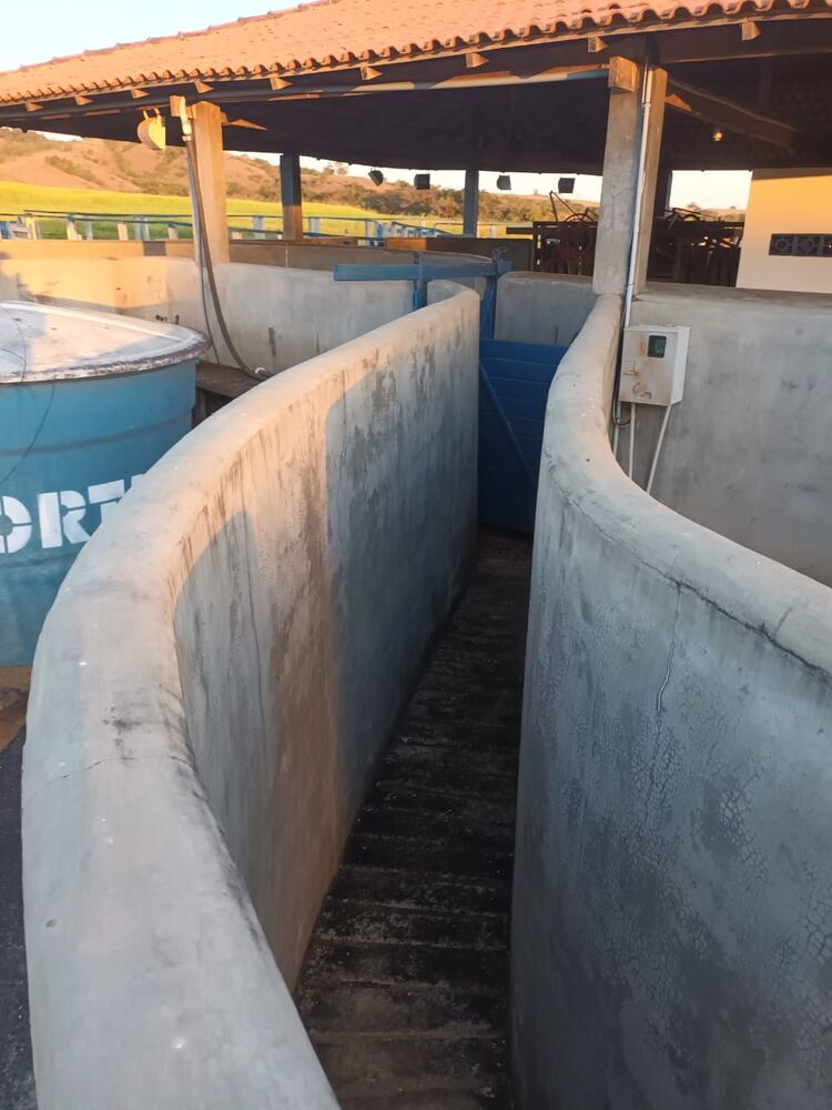 Fazenda à venda com 1 quarto, 2390000m² - Foto 2