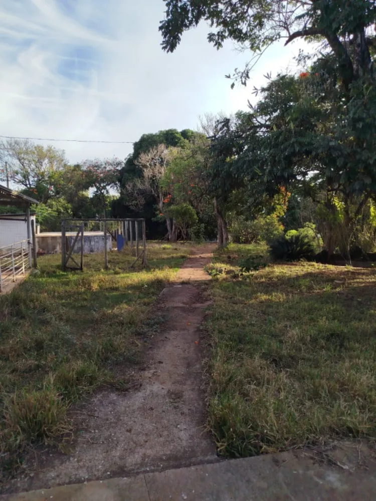Terreno, 3 hectares - Foto 3