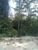 Terreno, 2500 m² - Foto 3