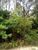 Terreno, 2500 m² - Foto 2