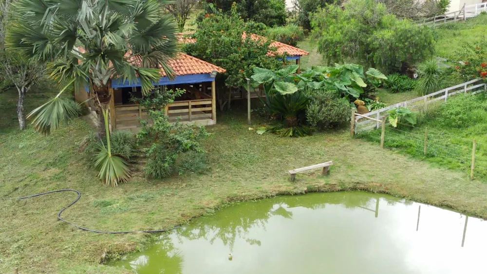 Chácara, 4 quartos, 6 hectares - Foto 11