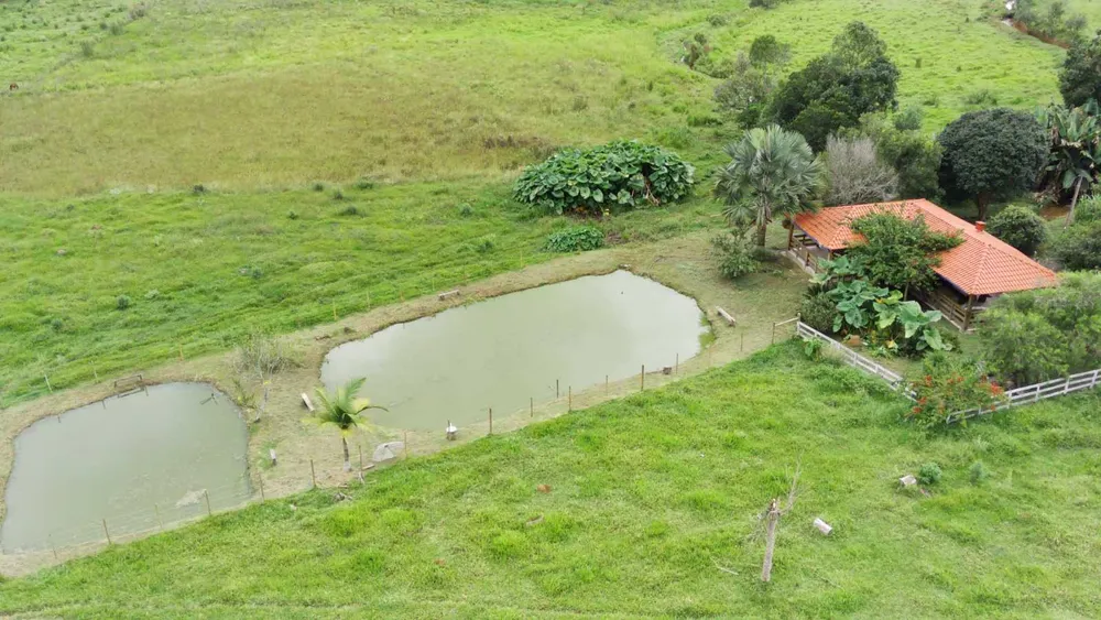 Chácara, 4 quartos, 6 hectares - Foto 7