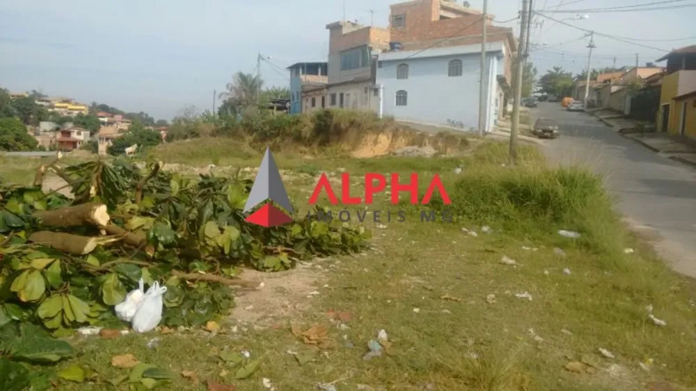 Terreno, 3600 m² - Foto 4