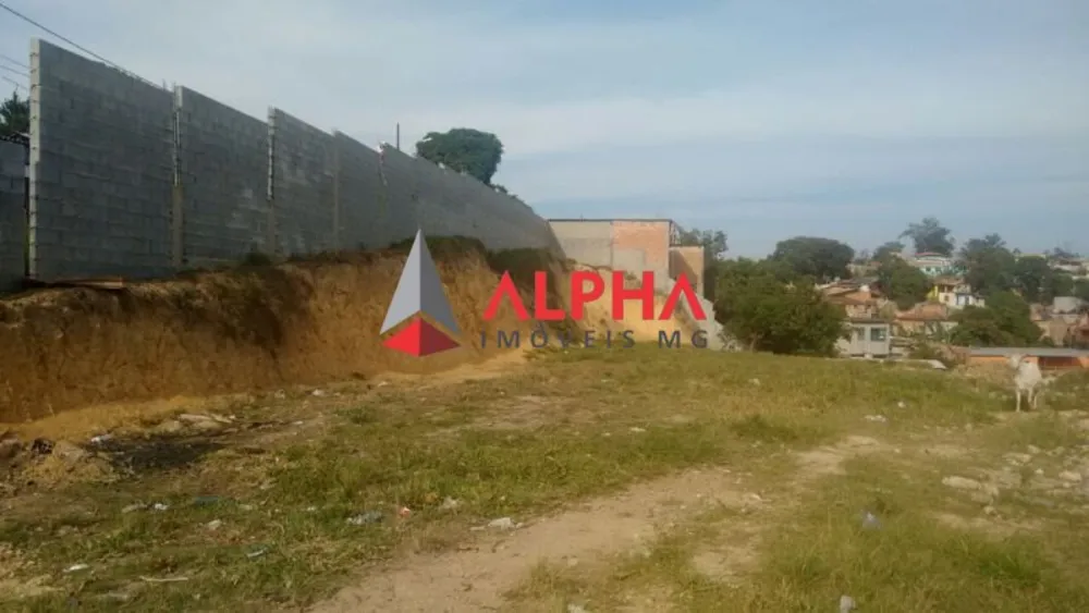 Terreno, 3600 m² - Foto 5