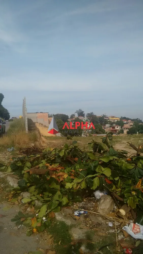 Terreno, 3600 m² - Foto 11