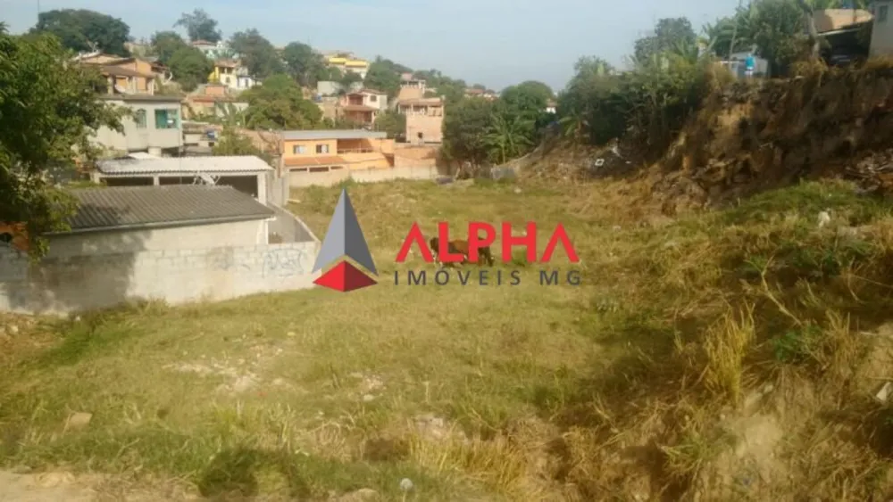 Terreno, 3600 m² - Foto 10