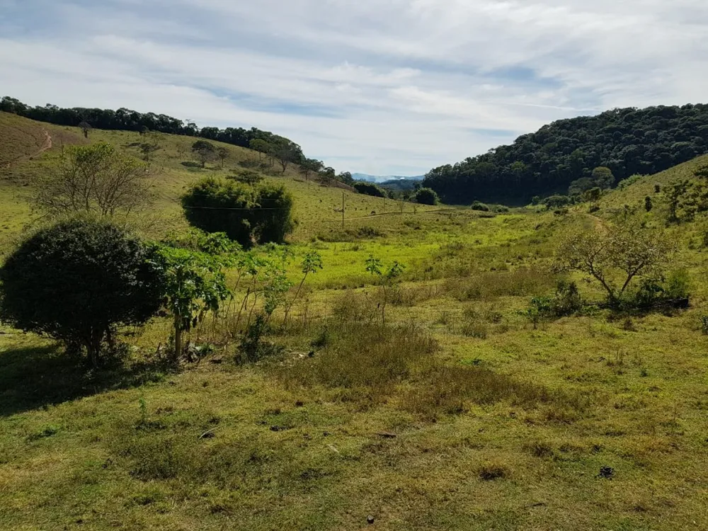 Fazenda, 11 quartos - Foto 2