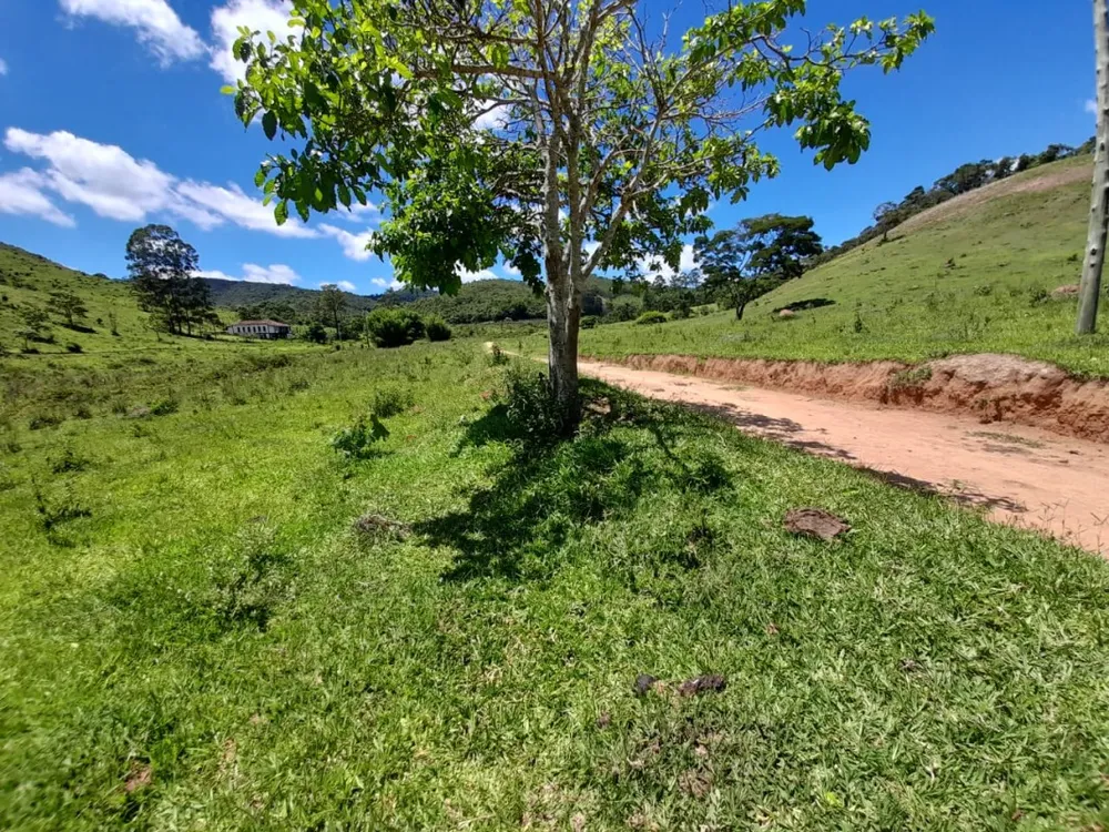 Fazenda, 11 quartos - Foto 4
