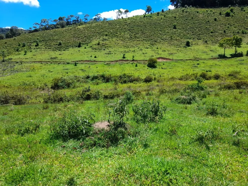 Fazenda, 11 quartos - Foto 5