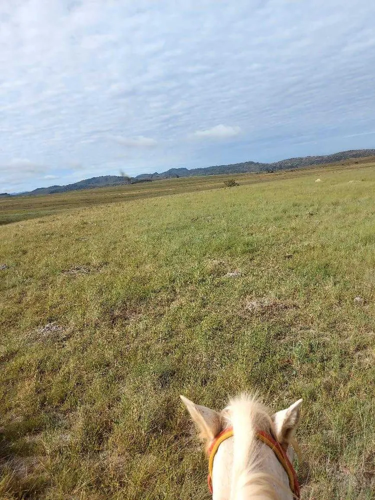 Fazenda, 300 hectares - Foto 3