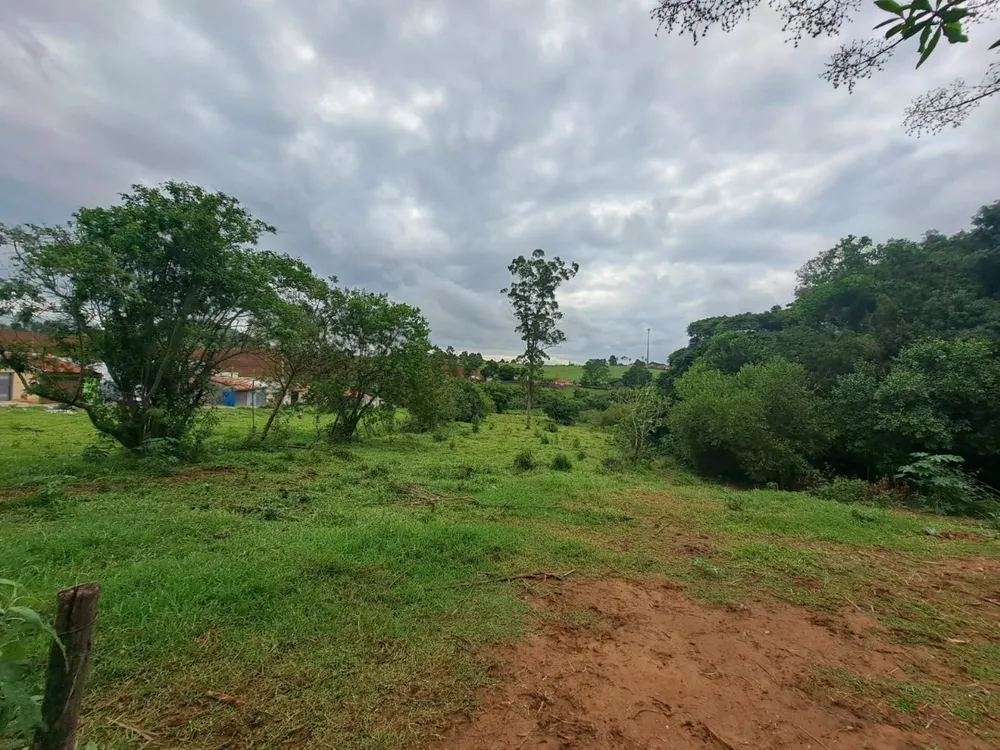 Terreno, 6286 m² - Foto 2