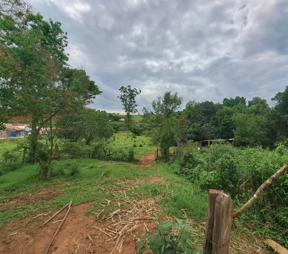 Terreno, 6286 m² - Foto 8