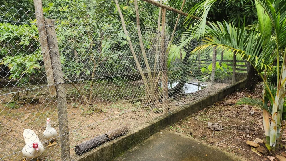 Chácara, 2 quartos - Foto 8