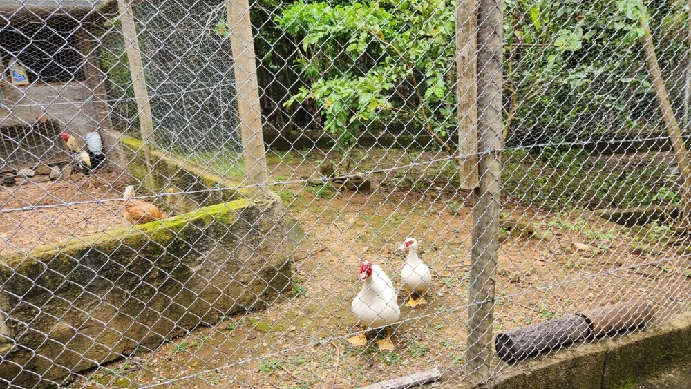 Chácara, 2 quartos - Foto 7