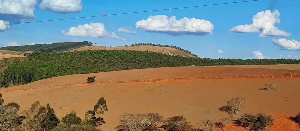 Fazenda, 87 hectares - Foto 3
