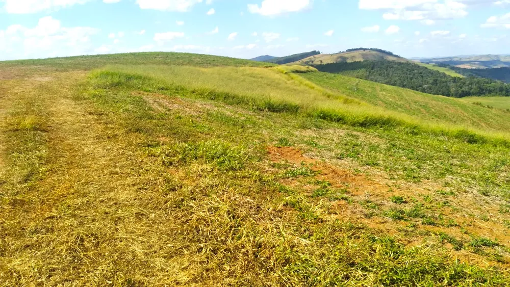 Fazenda, 87 hectares - Foto 6