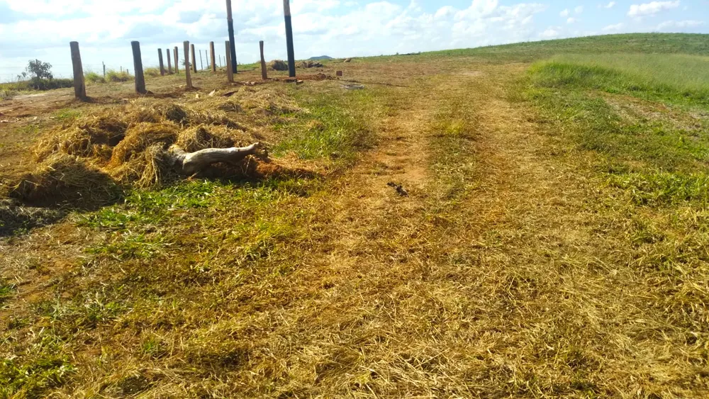 Fazenda, 87 hectares - Foto 11