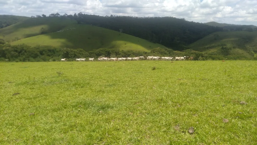 Fazenda, 87 hectares - Foto 11