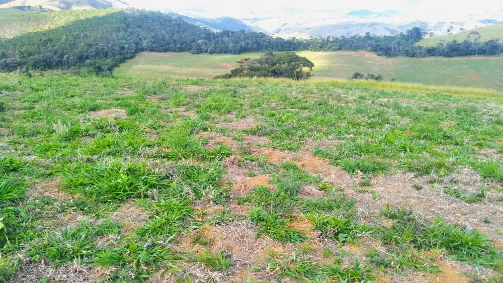 Fazenda, 87 hectares - Foto 12