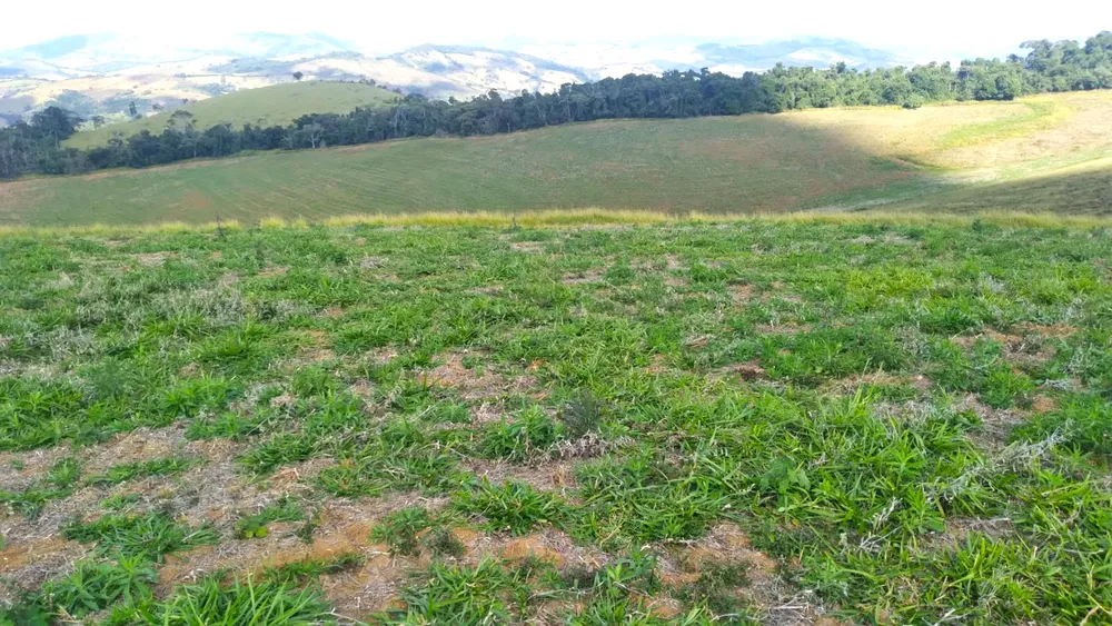 Fazenda, 87 hectares - Foto 5