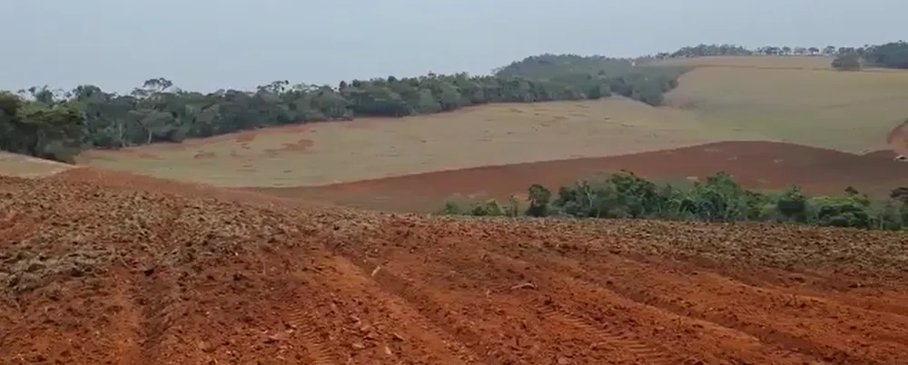Fazenda, 87 hectares - Foto 1
