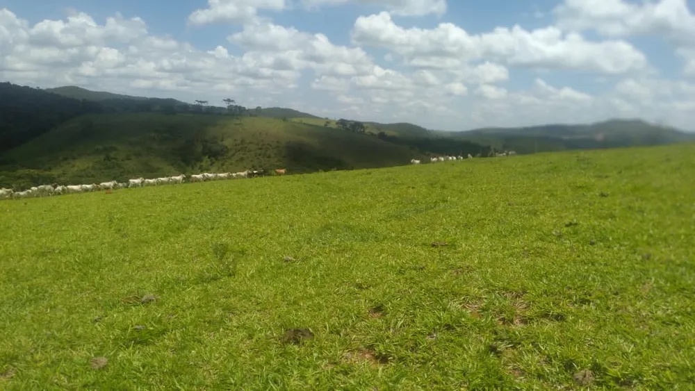 Fazenda, 87 hectares - Foto 6