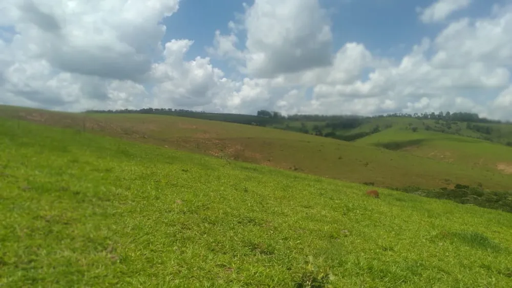 Fazenda, 87 hectares - Foto 7