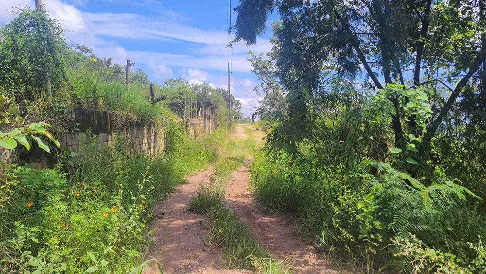 Terreno, 890 m² - Foto 9