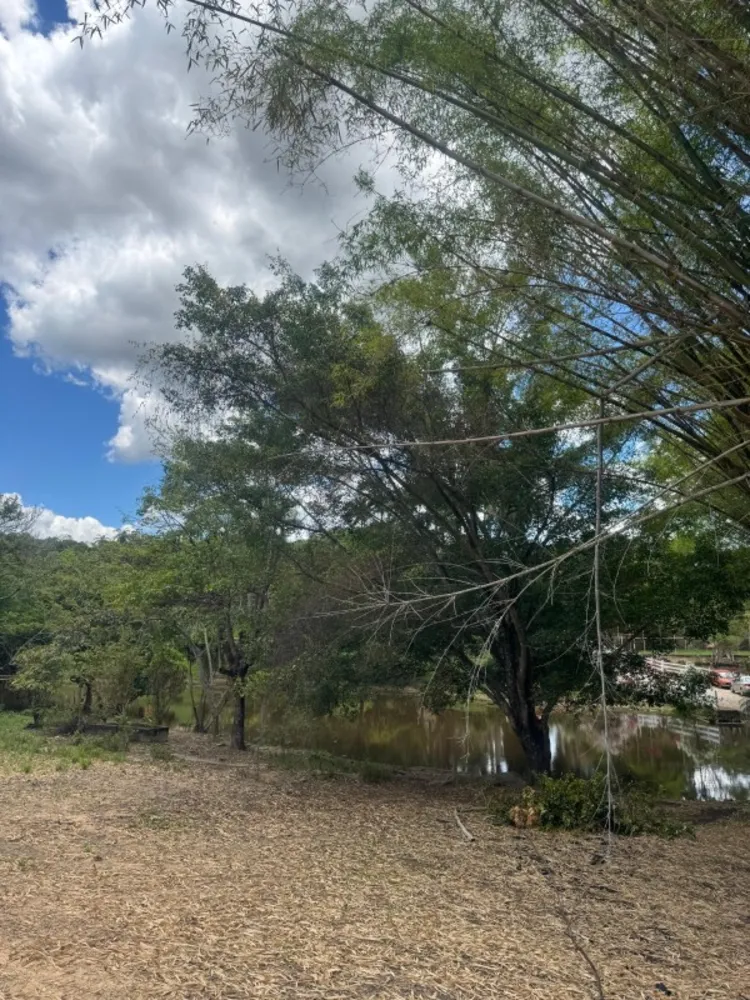 Terreno, 4000 m² - Foto 4