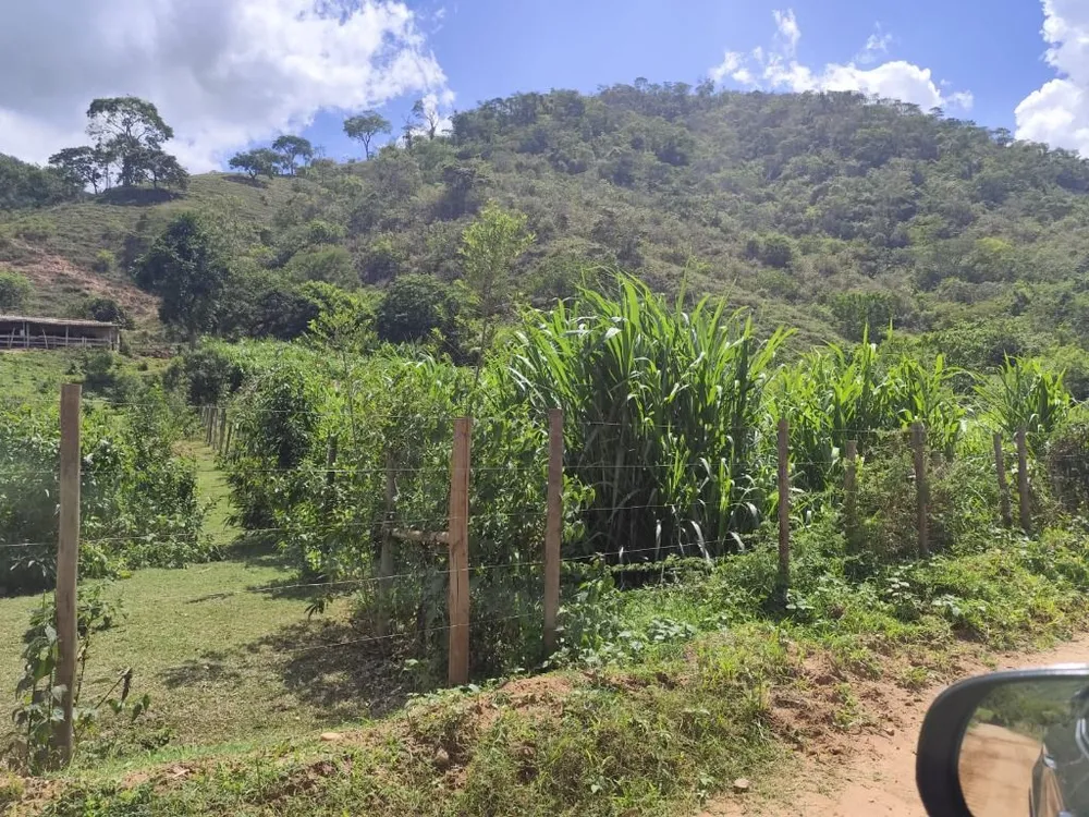 Fazenda, 3 quartos - Foto 12