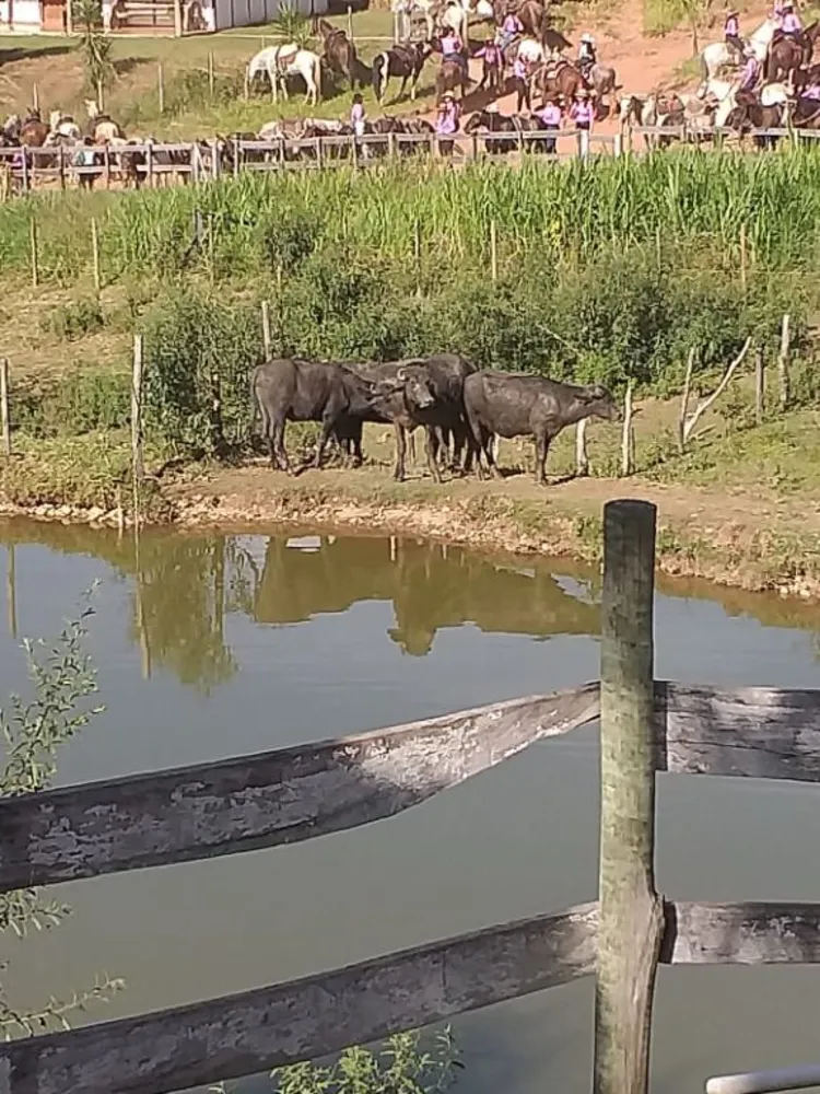 Fazenda, 3 quartos - Foto 5