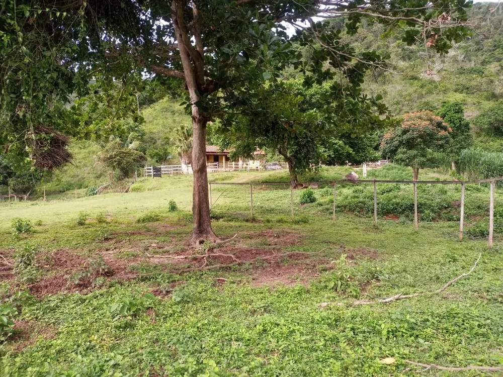 Fazenda, 3 quartos - Foto 2